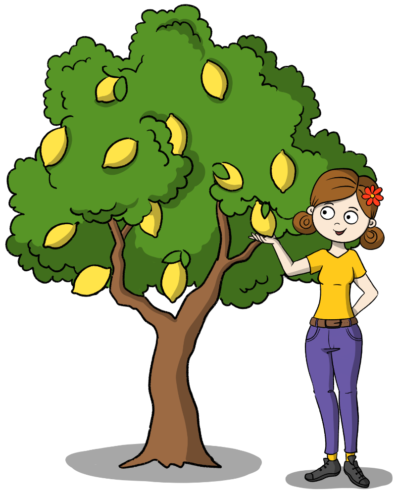 doTERRA Magnolio Maja Zitronenbaum doTERRA Magnolio Maja Zitronenbaum