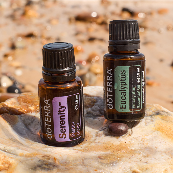 Bogo Serenity Eucalyptus