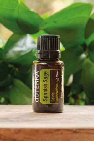 Spanisches Salbeiöl - doTERRA Spanish Sage