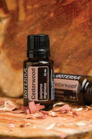 Zedernholzöl - doTERRA Cedarwood