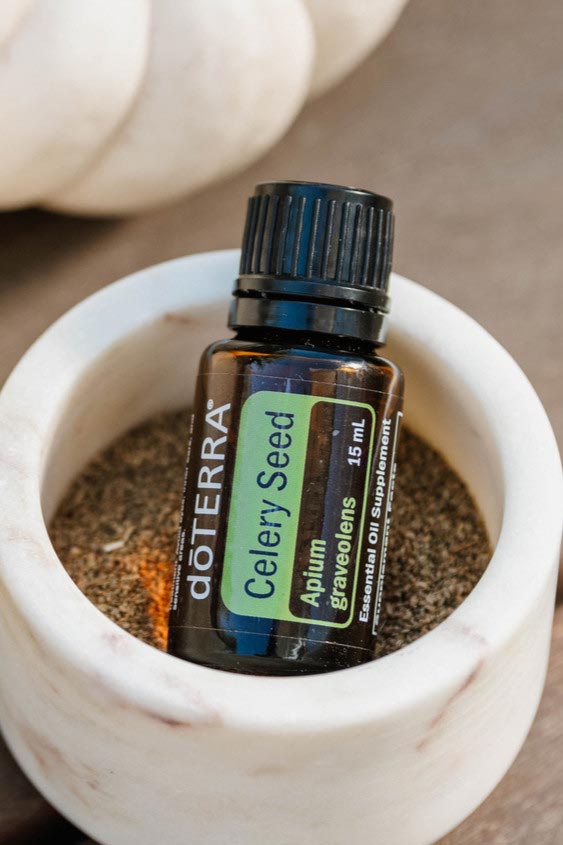 Selleriesamenöl doTERRA Celery Seed MagnolioWorld CH