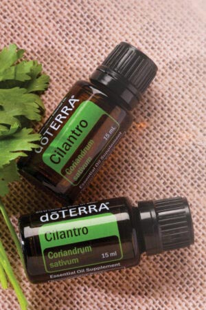 Korianderöl - doTERRA Cilantro