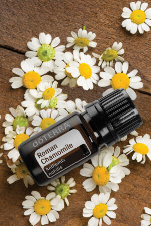 Kamillenöl - doTERRA Roman Chamomile