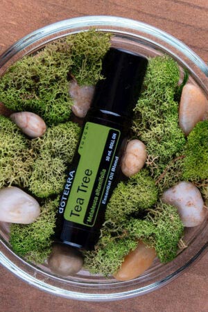 Ulei de arbore de ceai Roll-On - doTERRA Tea Tree Melaleuca Touch
